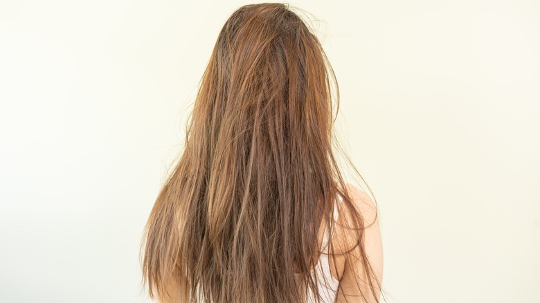 Back of woman with long dull hair