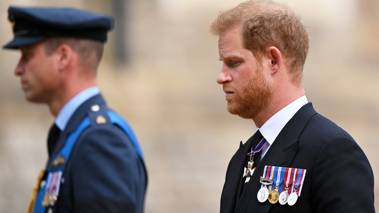 Prince Harry and Prince William side profile