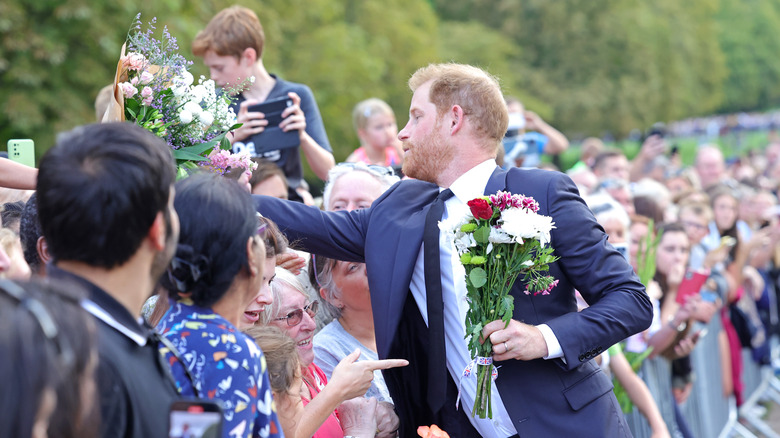 Prince Harry greeting crowds 