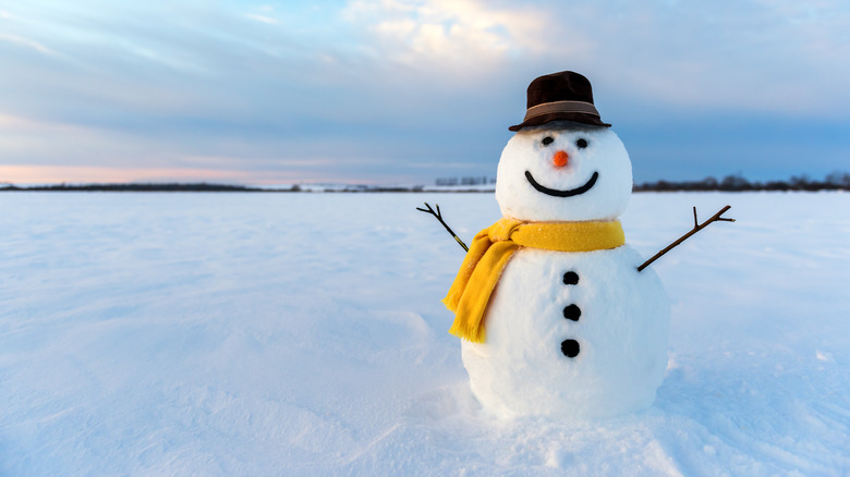 Snowman in field