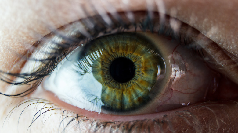 Rings in Ophthalmology - Eye Health Nepal