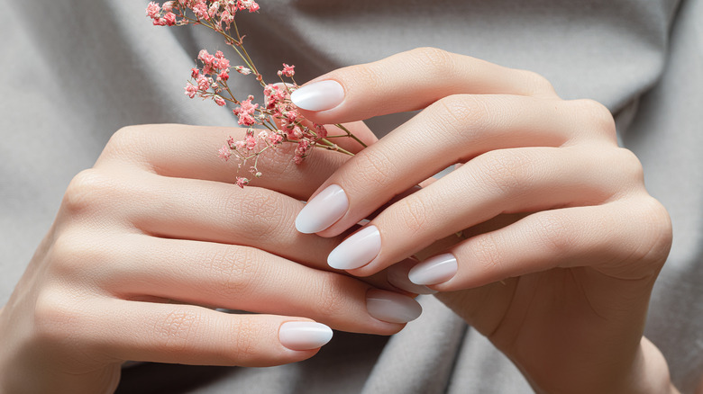 Female hands holding a pink flower