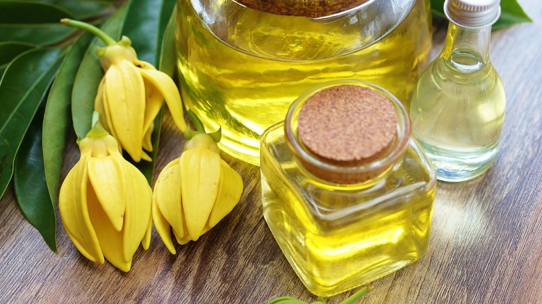 Bottled Ylang Ylang oil and flowers