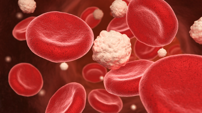 Blood cells and glucose
