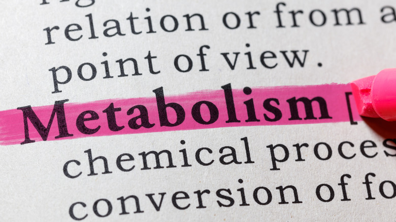 metabolism