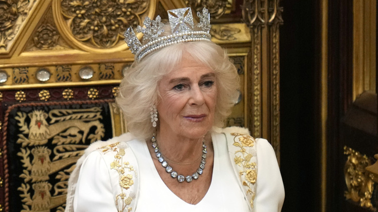 Queen Camilla wearing a crown and looking deep in thought