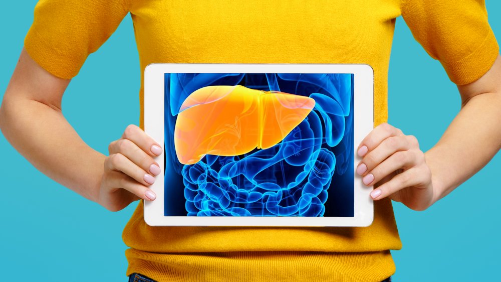 woman holding diagram of liver