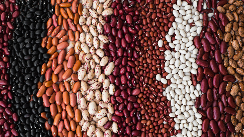 A variety of dried beans