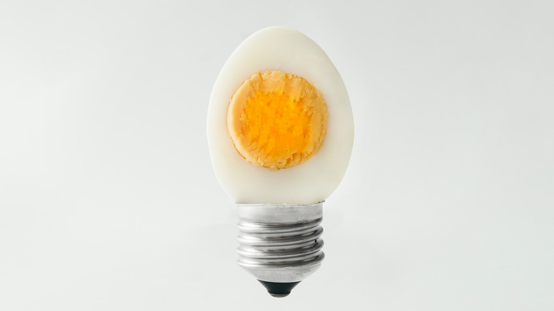 lightbulb egg