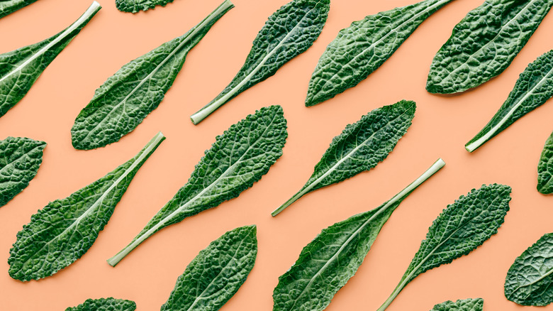 Kale leaves on a peach background