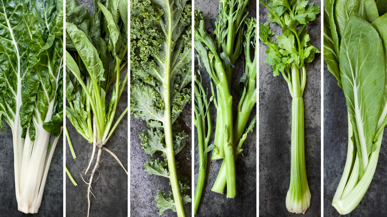 A variety of green vegetables