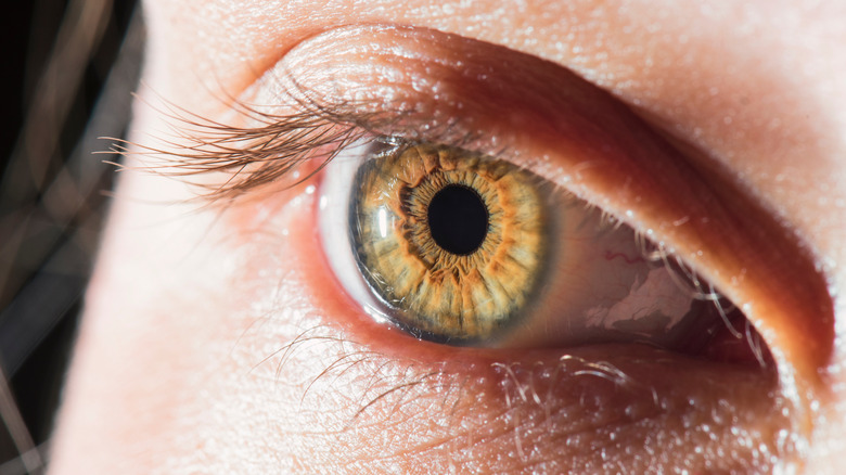 A hazel eye, close-up