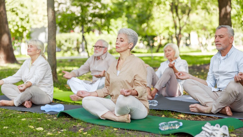 Seniors doing yoga in a park