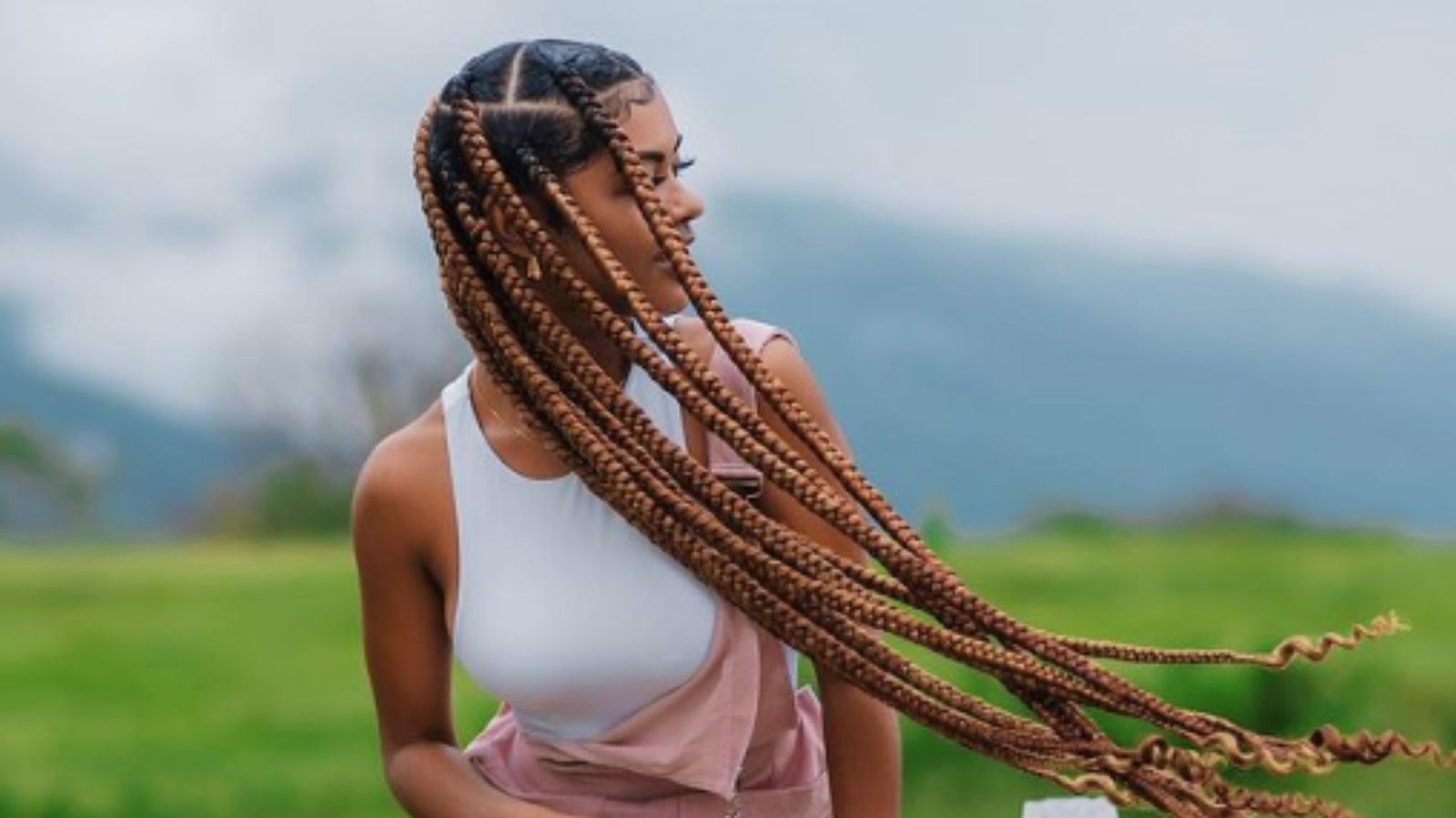 What Happened to Corn Rows?