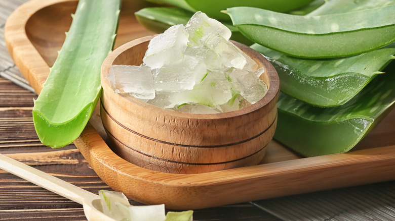 Aloe vera on wooden tray