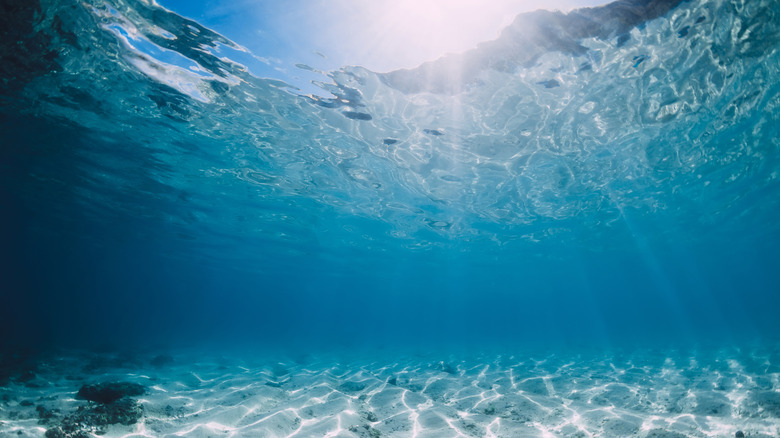 Underwater view 