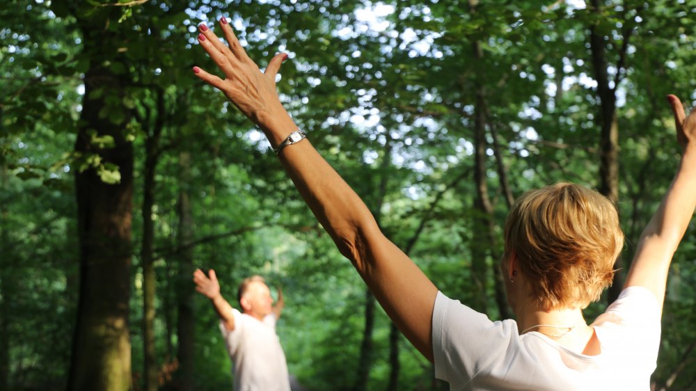 Forest bathing