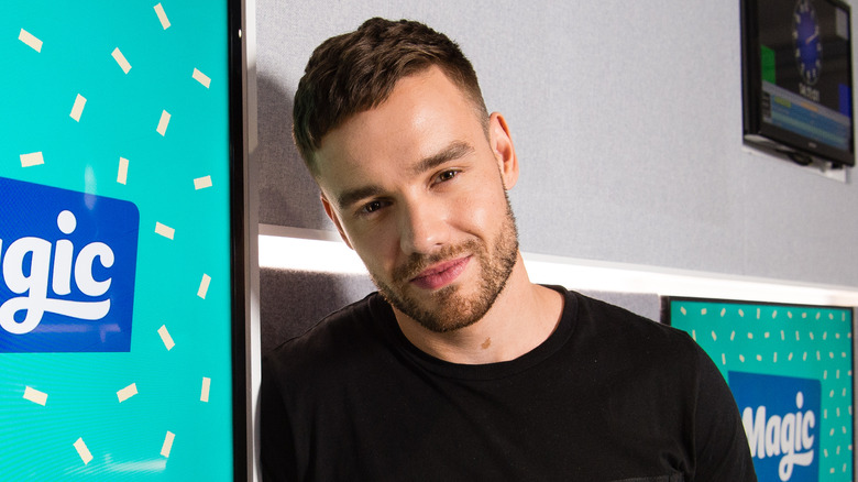 Liam Payne poses for a photo 