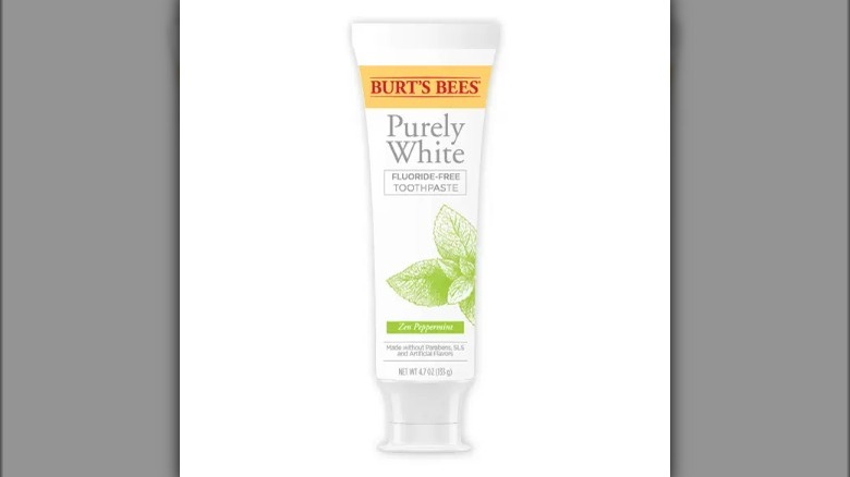 Burt's Bees Purely White Toothpaste 