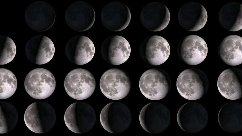phases of the moon 