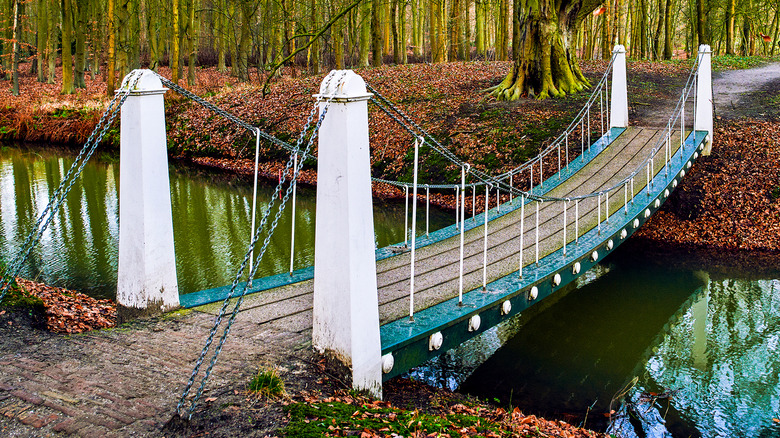 Wooden bridge in a forest