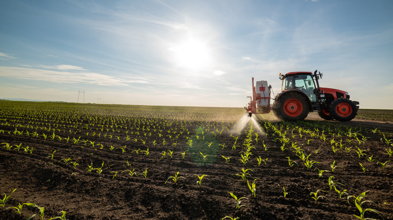 Tractor on a farm