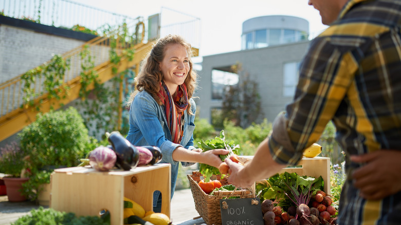 what-it-means-when-you-dream-about-a-farm