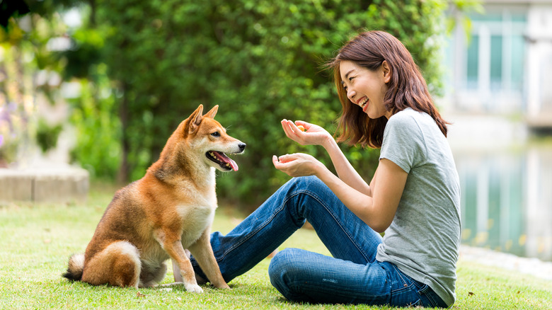 Happy dog with owner sitting on the grass