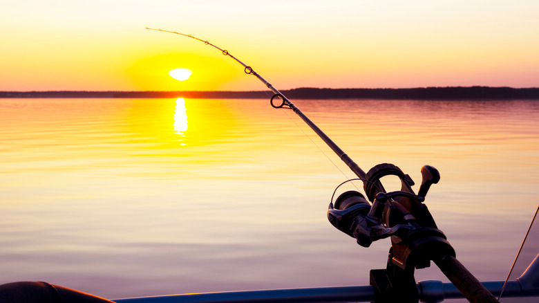 A fishing rod over a body of water at sunset 
