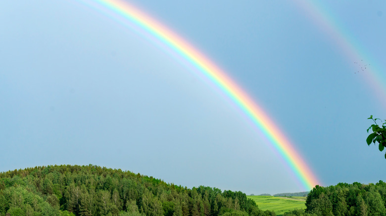 Rainbow over a field