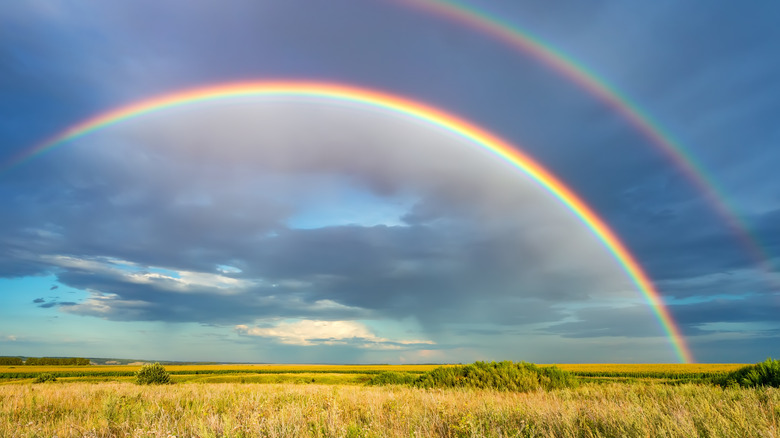 Rainbow over a field