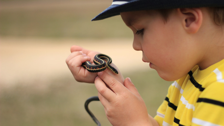 Little boy holding harmless snake