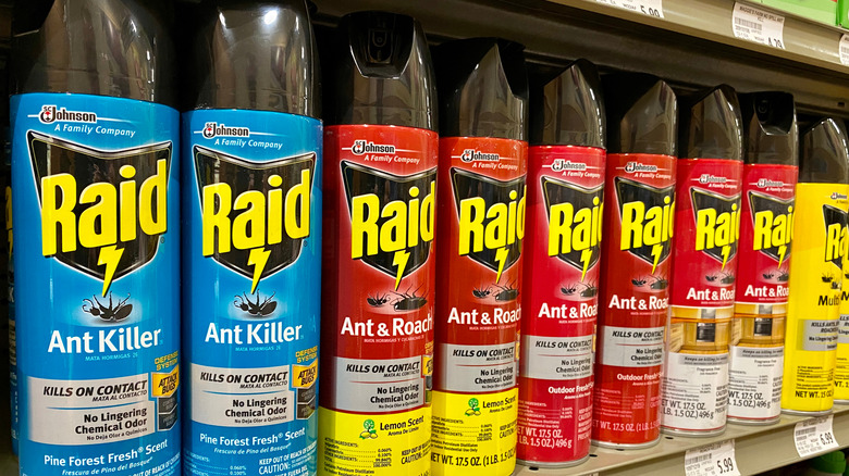 Cans of Raid bug killer 