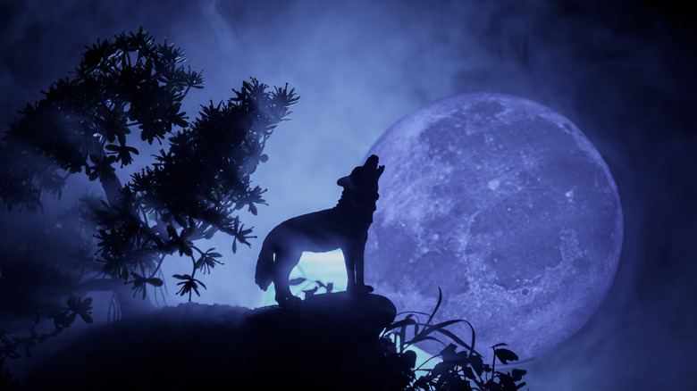 A wolf howling in front of a full moon 