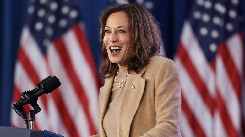 Kamala Harris speaking in North Carolina on Nov. 2, 2024