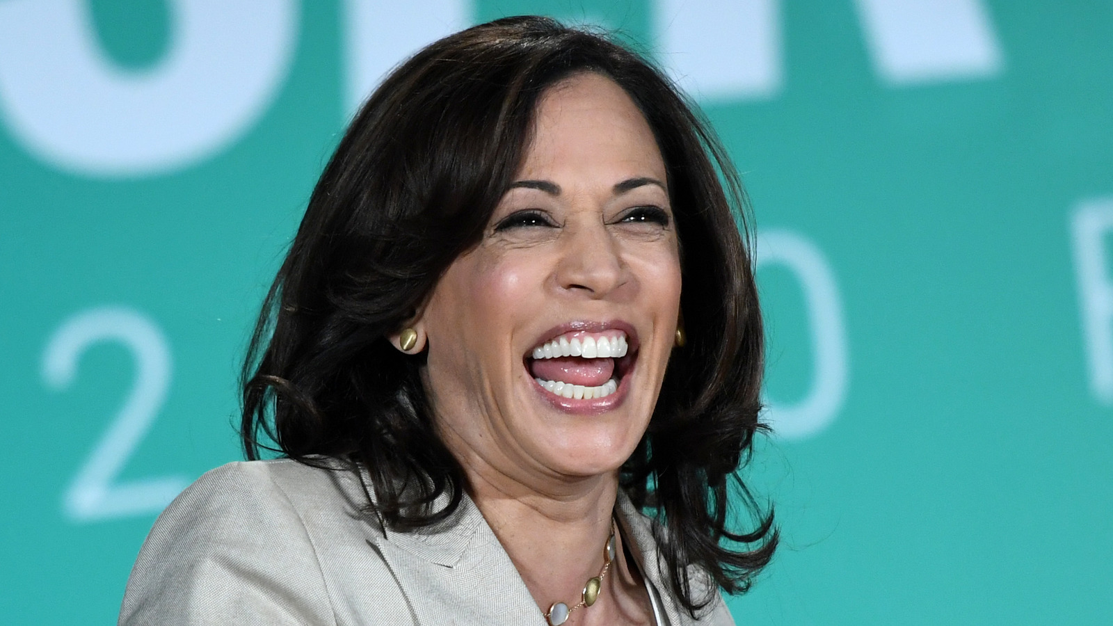 What Kamala Harris Really Thinks Of Trump Running Again In 2024