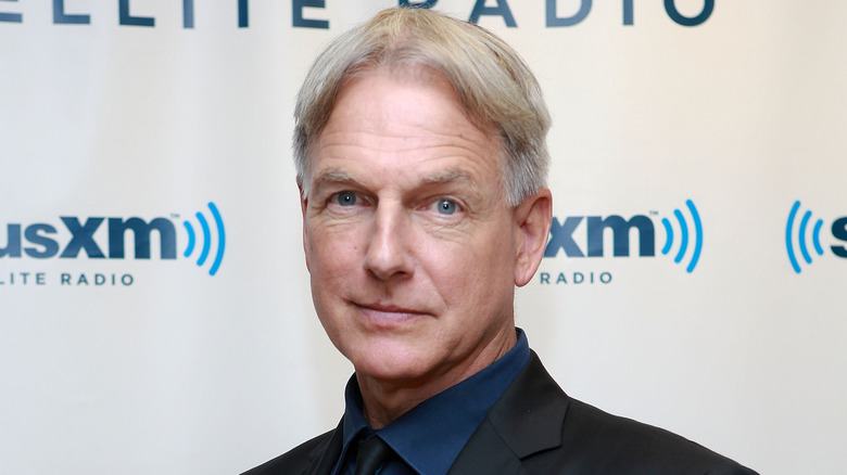 Mark Harmon posing