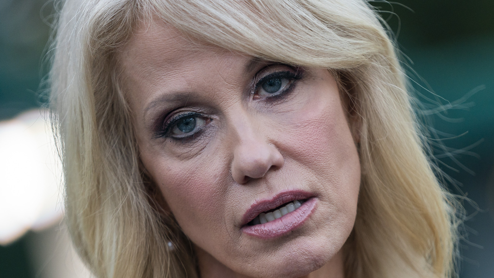 What Kellyanne Conway's Husband Really Thinks Of Her Political Views