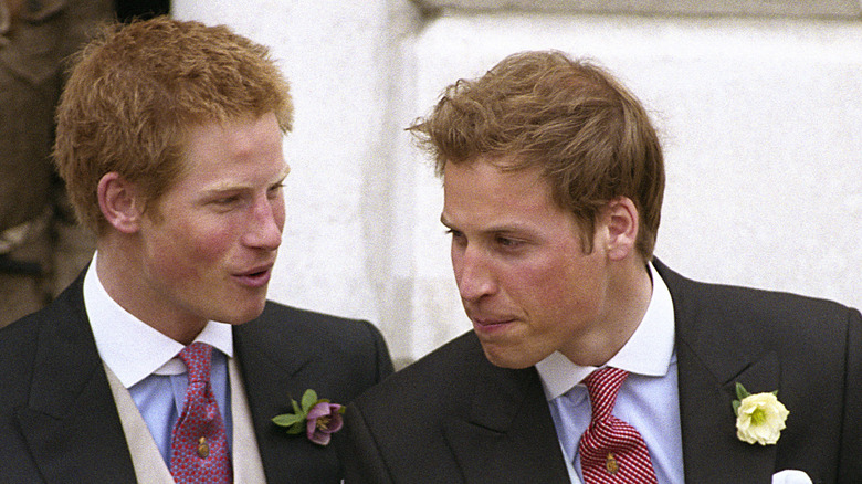 Prince Harry and Prince William