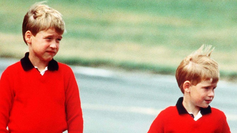 Prince William, Prince Harry