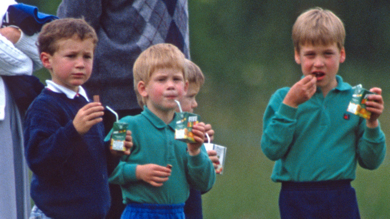 Prince William, Prince Harry