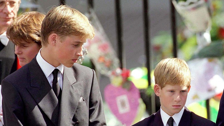 Prince William, Prince Harry