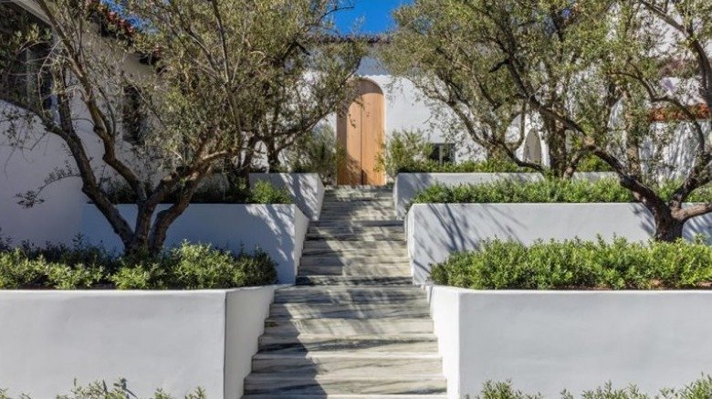 Olive trees and stone steps