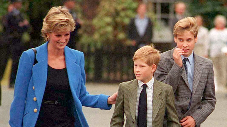 Diana walking with Harry and William