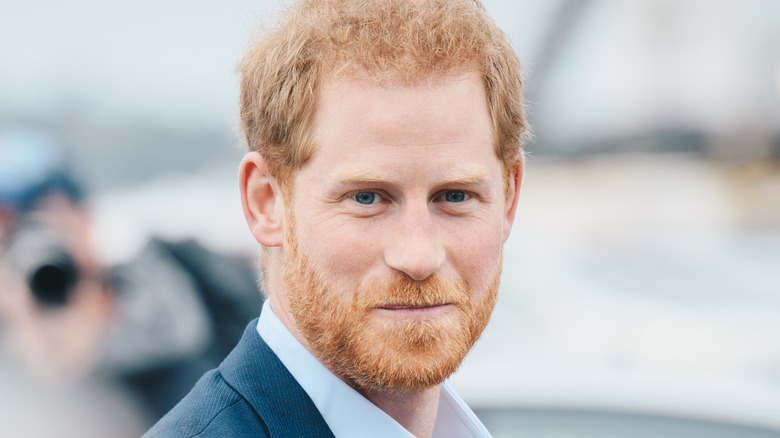 Prince Harry smiles at the camera