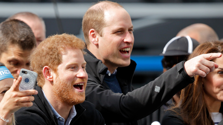Prince William and Prince Harry cheer in crowd