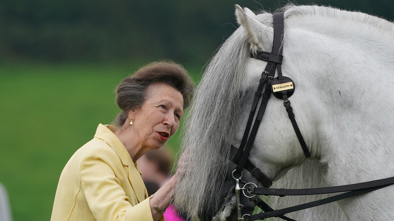 Princess Anne at an event