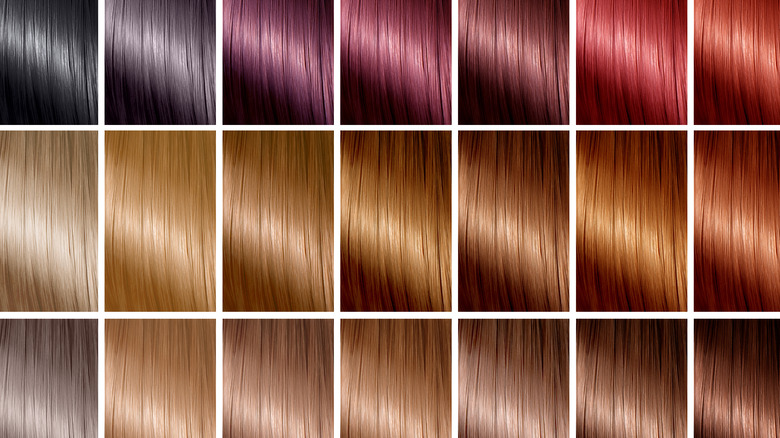 Color chart for hair dye