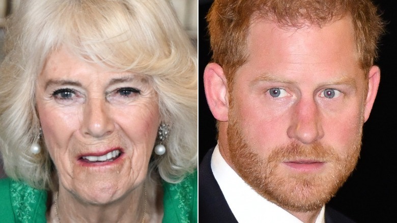 Camilla, Prince Harry looking serious