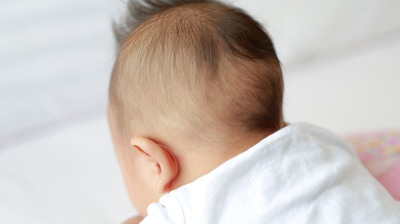 back of a baby's head